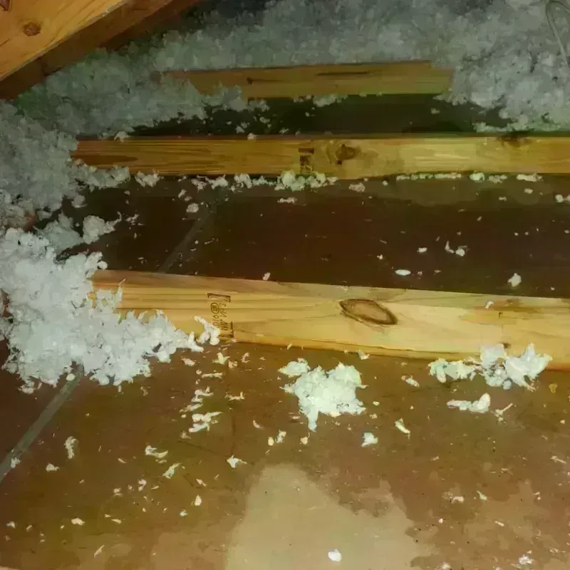 Attic Water Damage in Tremonton, UT